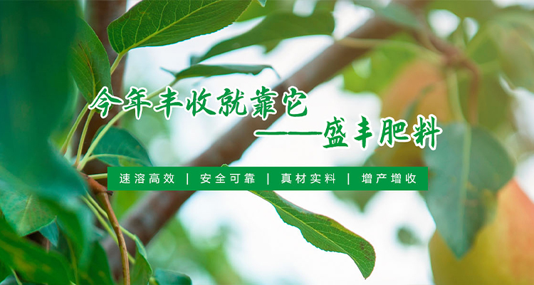 河南盛豐肥業科技有限公司【官網】